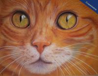 Pastel Pencil drawing of a beautiful ginger tom cat. 